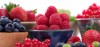 The Power of Antioxidants for Staying Young
